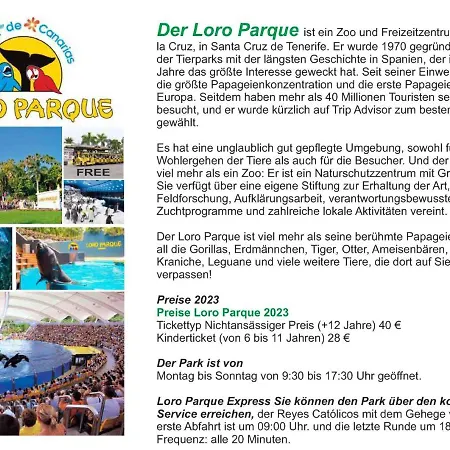 - Sun House - Holidays - Apartamento