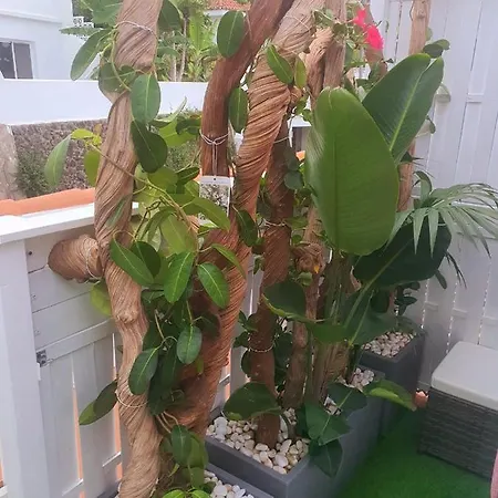 Apartamento - Sun House - Holidays -