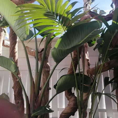 - Sun House - Holidays - Apartamento Puerto de la Cruz (Tenerife)